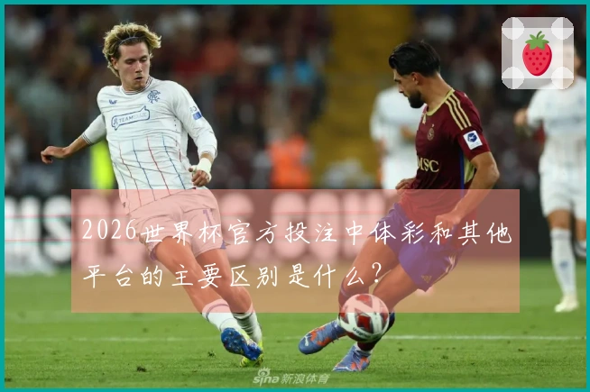 2026世界杯官方投注中体彩和其他平台的主要区别是什么？